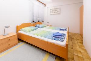Apartment Lemut 