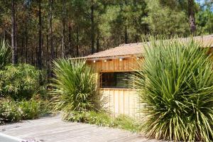 Maisons de vacances Vacances Ocean Maison bois Lege Cap Ferret 1-4p : Maison 2 Chambres