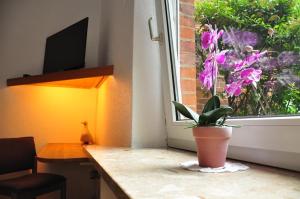 Ferienwohnungen Abraham