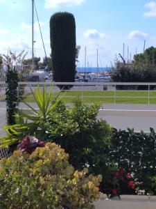 Baie des anges appartement Bis photo 15