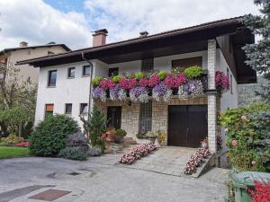 Apartment Žvab 