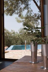 Alonissos Poikilma Villas exclusive luxury villas with private pools in nature Alonissos Greece