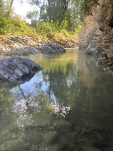 Pensiunea Casa Domniței Sucevița