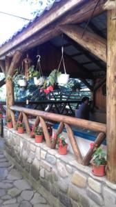 Pensiunea Casa Domniței Sucevița