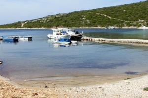 Secluded fishermans cottage Cove Zuborovica, Pasman - 321