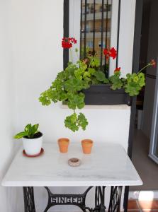 Puerto Deportivo Estepona