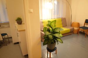 Apartment City Heart