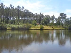 Chalets Cuckoo Lake Forest Cabin : photos des chambres