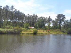 Chalets Cuckoo Lake Forest Cabin : photos des chambres