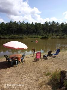 Chalets Cuckoo Lake Forest Cabin : photos des chambres