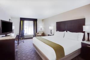 King Suite - Non-Smoking room in Holiday Inn Express Hotel & Suites Mebane an IHG Hotel