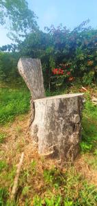 Casa en Finca Ecológica - Wifi