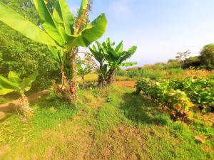 Casa en Finca Ecológica - Wifi