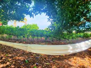 Casa en Finca Ecológica - Wifi