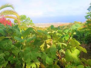 Casa en Finca Ecológica - Wifi