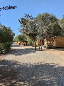 New Camping Coccorrocci img58