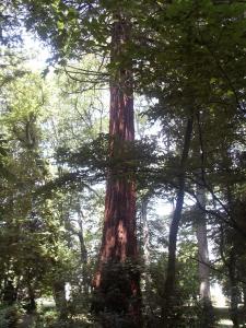 Maisons d'hotes Manoir Du Parc (Adults only) : photos des chambres