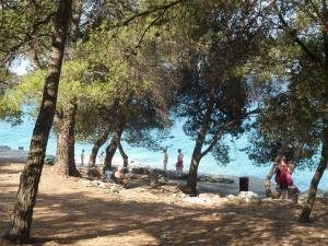 Happy Camp Mobile Homes in Brioni Sunny Camping