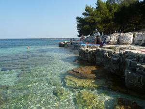 Happy Camp Mobile Homes in Brioni Sunny Camping