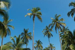 Tayrona Tented Lodge