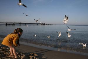 Villa Minna mit großem Balkon