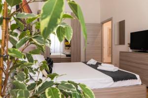 Casa Zara - Metro Lines