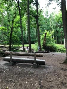 Nieuw vebouwd Vakantie Boshuisje Meibloempje