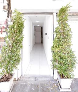 Hidden Habitat - Design Guesthouse