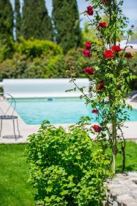 Maisons de vacances La Demeure de Cybele - Gite de charme pour 10 personnes en Drome Provenccale : photos des chambres