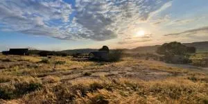 Boker Valley Farm - 玛莎比赛德