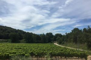 Maisons de vacances Cabanon de charme en plein coeur des vignes : photos des chambres