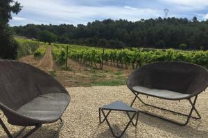 Maisons de vacances Cabanon de charme en plein coeur des vignes : photos des chambres