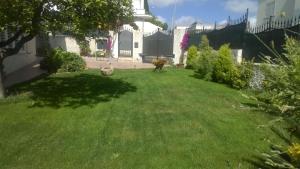 Bed and Breakfast Angolo Fiorito