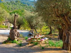 Villa Mancor Pool & Mountain Views