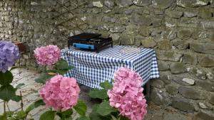 Deliziosa casetta con dehor e giardino immersa nel verde Ligure