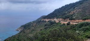 Villa isabel 2 img35