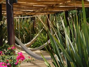 Hotel & Spa Luna Canela Boutique