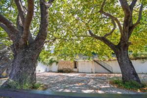 Hillside hideaway Achaia Greece