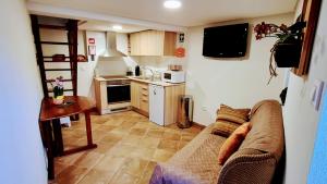 Casa Catraia Gondramaz no Pulmão da Serra da Lousã