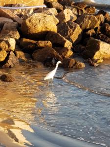 Apartamento PÉS NA AREIA