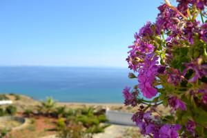 Villa Ioanna - Vacation Houses for rent close to the beach Tinos Greece