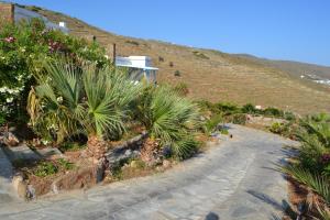 Villa Ioanna - Vacation Houses for rent close to the beach Tinos Greece