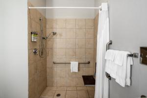 King Room - Disability Access Roll in Shower room in Holiday Inn Express & Suites Tell City an IHG Hotel