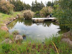 Casa di Roby 4L img7