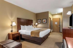 Deluxe King Room - Non-Smoking room in Comfort Inn Warrensburg Station