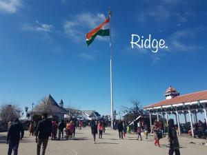 Sai Cottage Shimla