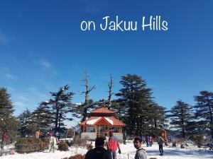 Sai Cottage Shimla