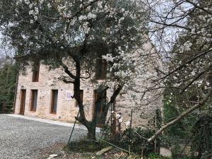 DOLCE VITA IN TUSCANY Cottage