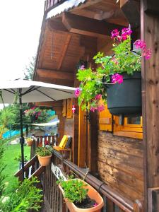 Chalets LE BLANC NORDIQUE : photos des chambres