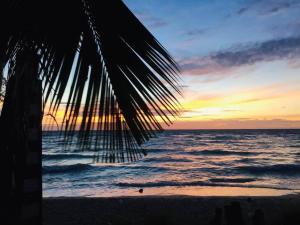 Secret Beach Bungalows